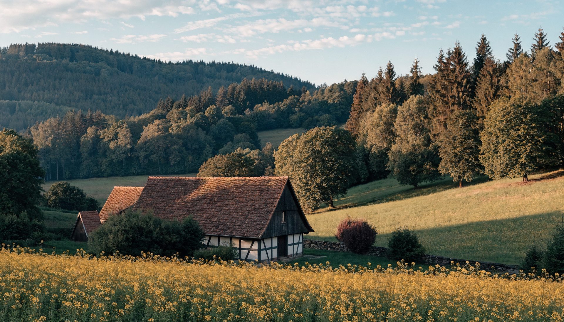 Hof Solling mit Senf-Feld im Sommer