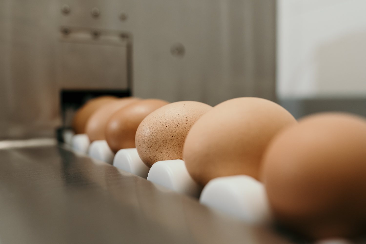 Eier aufschlagen für den Nudelteig
