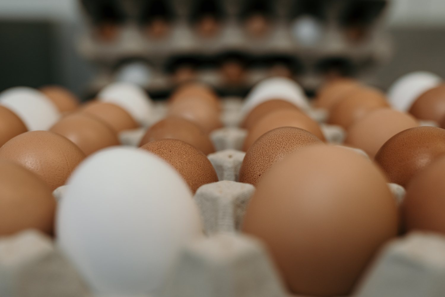 Frische Eier für den Teig