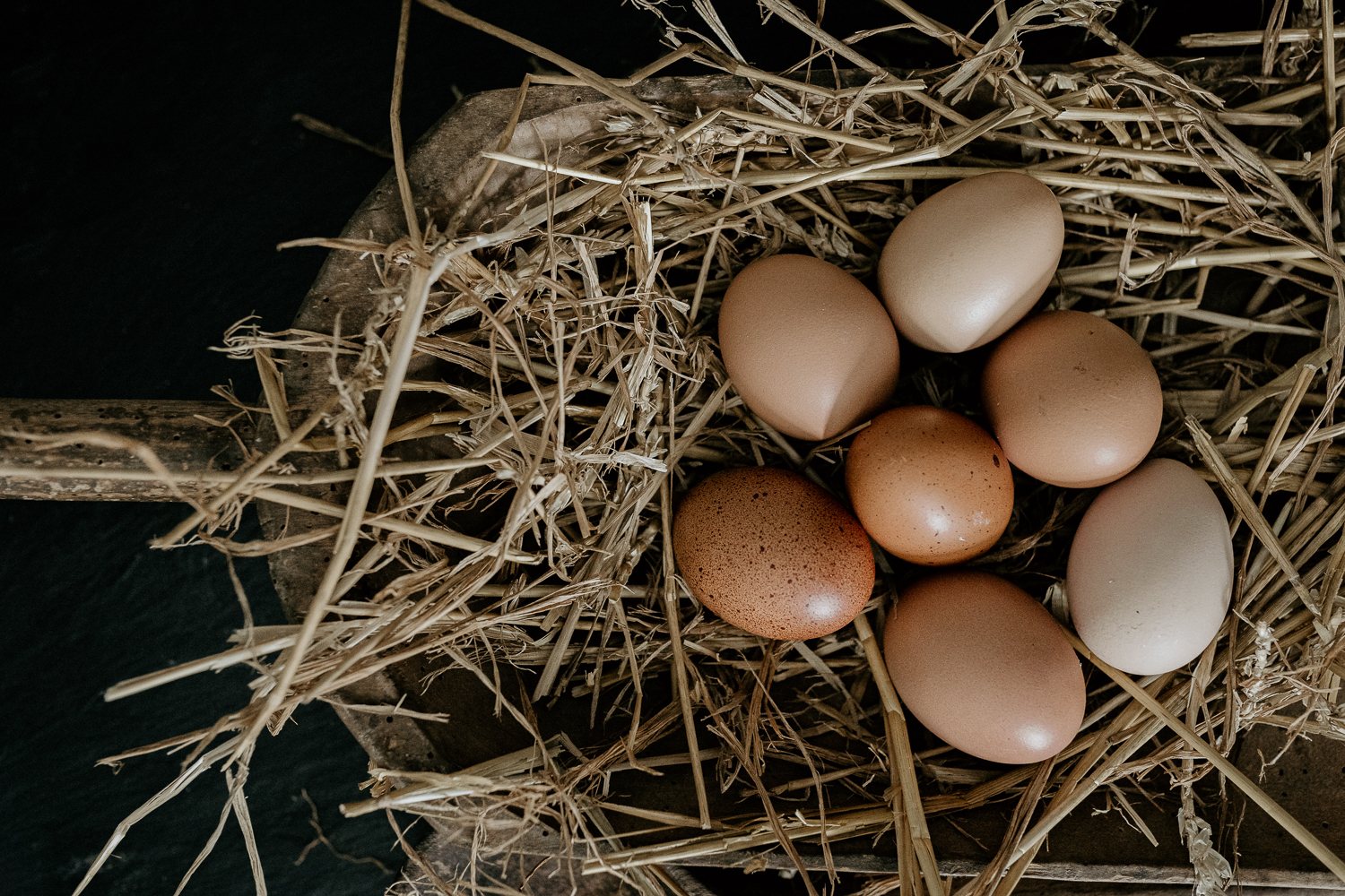Eier für die Nudelproduktion
